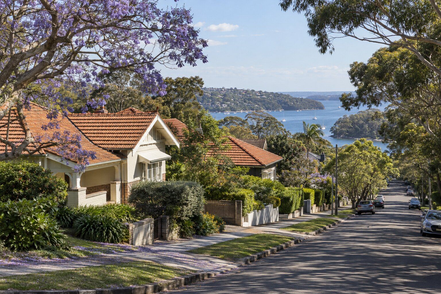 Roofing, Balgowlah: inter-war bungalows with terracotta roofs on a sloping street, with the harbour in the distance