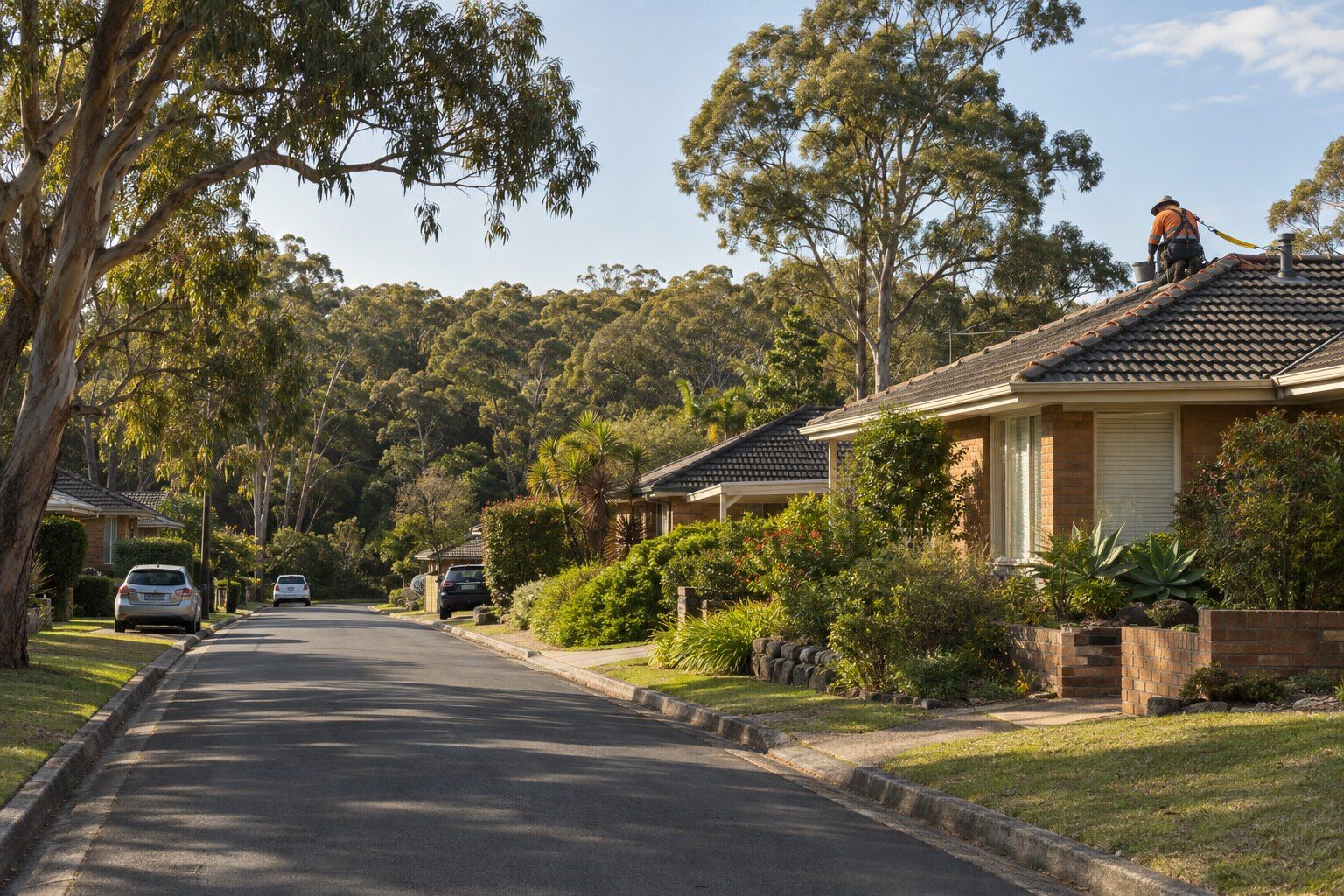 Roofing, Frenchs Forest: street of 1960s–70s single-storey brick veneer homes with concrete tile roofs and wide eaves, eucalypts and bushland behind, a roofer repointing ridge capping