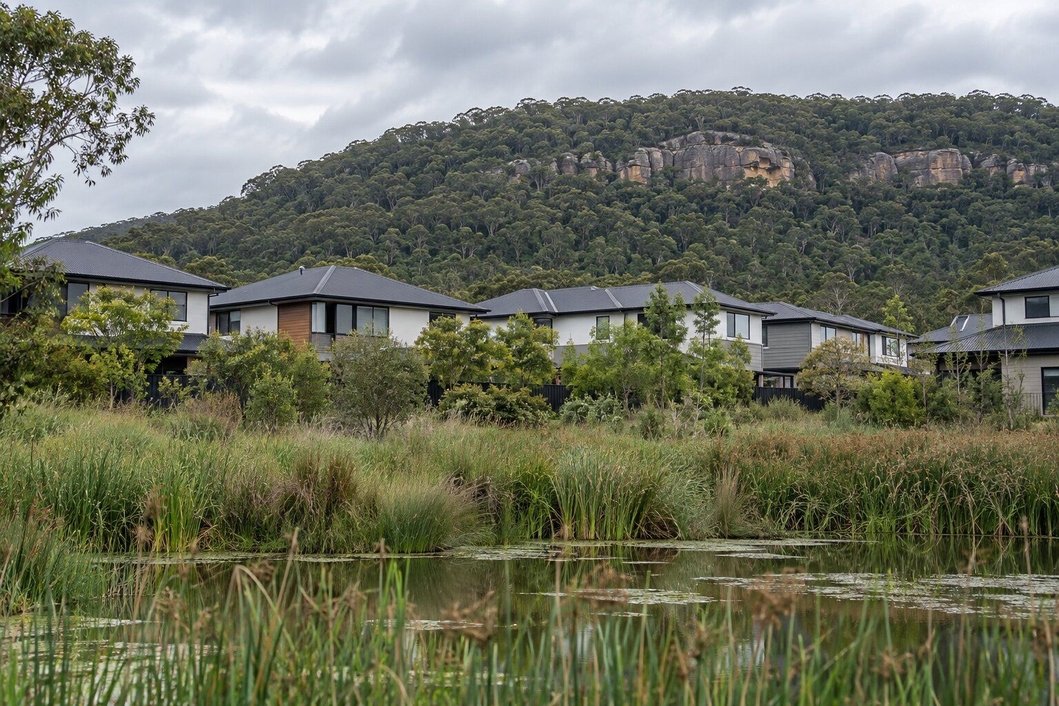 Roofing, Warriewood: newer two-storey townhouses with dark Colorbond roofs below a forested escarpment, wetland reeds in front